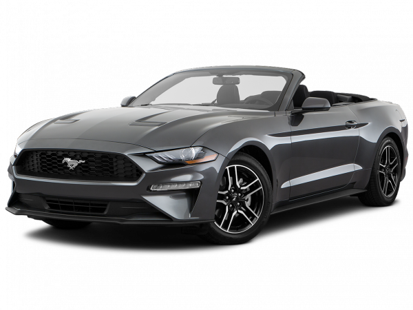 Ford Mustang Cabrio 5,0 V8